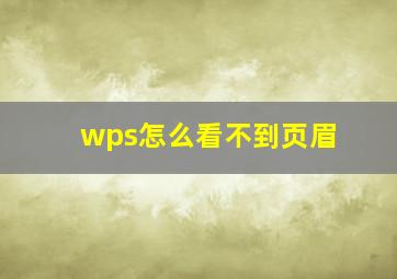 wps怎么看不到页眉