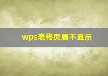 wps表格页眉不显示