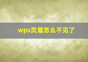 wps页眉怎么不见了