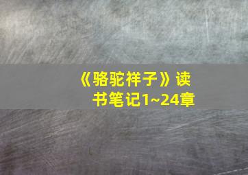 《骆驼祥子》读书笔记1~24章