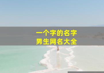 一个字的名字男生网名大全