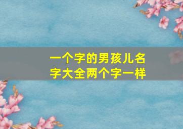 一个字的男孩儿名字大全两个字一样