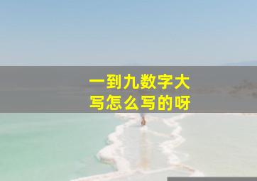 一到九数字大写怎么写的呀