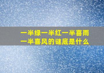 一半绿一半红一半喜雨一半喜风的谜底是什么