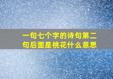 一句七个字的诗句第二句后面是桃花什么意思