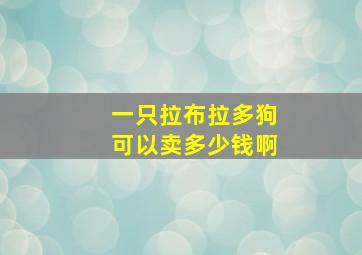 一只拉布拉多狗可以卖多少钱啊