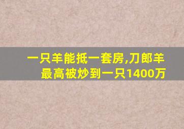 一只羊能抵一套房,刀郎羊最高被炒到一只1400万