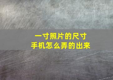 一寸照片的尺寸手机怎么弄的出来