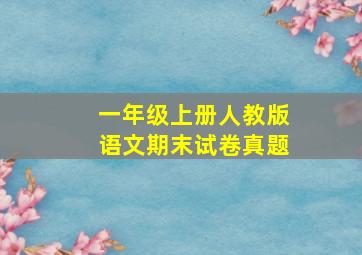 一年级上册人教版语文期末试卷真题