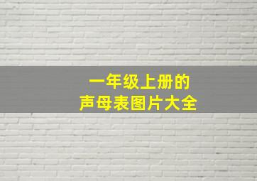 一年级上册的声母表图片大全