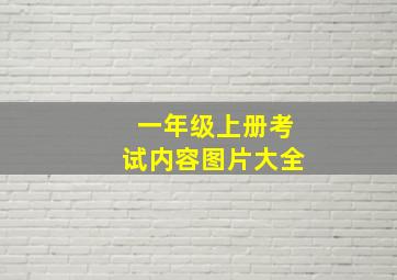 一年级上册考试内容图片大全