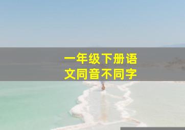 一年级下册语文同音不同字