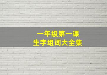 一年级第一课生字组词大全集