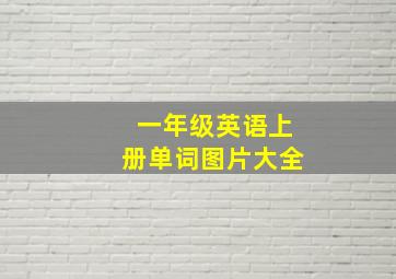 一年级英语上册单词图片大全