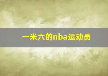 一米六的nba运动员