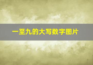 一至九的大写数字图片