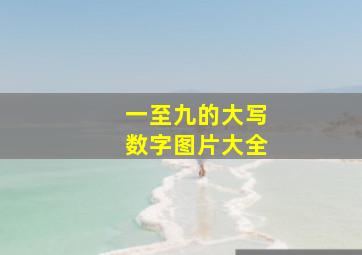 一至九的大写数字图片大全