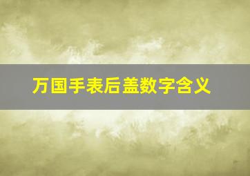 万国手表后盖数字含义