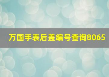 万国手表后盖编号查询8065