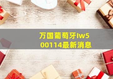 万国葡萄牙Iw500114最新消息