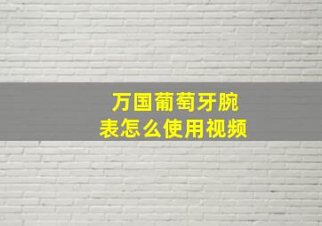 万国葡萄牙腕表怎么使用视频