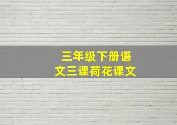 三年级下册语文三课荷花课文