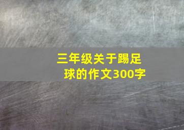 三年级关于踢足球的作文300字