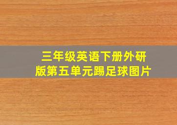 三年级英语下册外研版第五单元踢足球图片