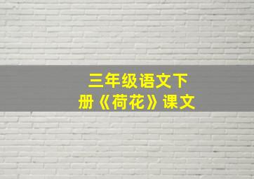 三年级语文下册《荷花》课文