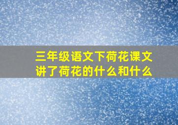 三年级语文下荷花课文讲了荷花的什么和什么