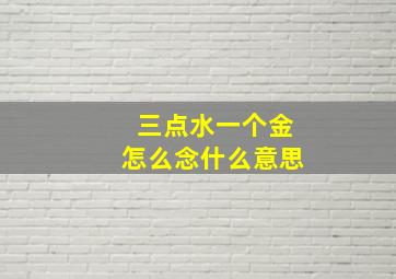 三点水一个金怎么念什么意思