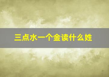 三点水一个金读什么姓