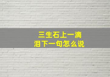 三生石上一滴泪下一句怎么说