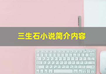 三生石小说简介内容