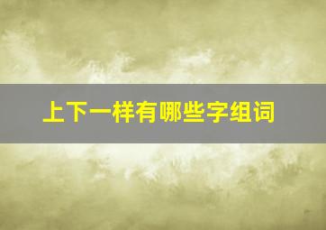 上下一样有哪些字组词