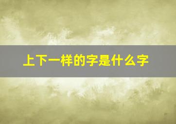 上下一样的字是什么字