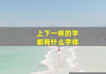 上下一样的字都有什么字体