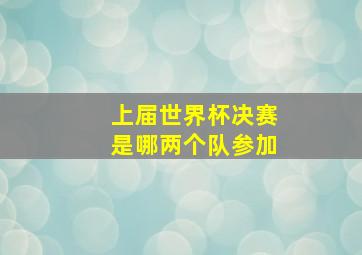 上届世界杯决赛是哪两个队参加