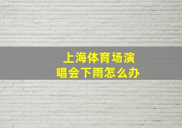 上海体育场演唱会下雨怎么办