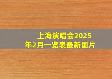 上海演唱会2025年2月一览表最新图片