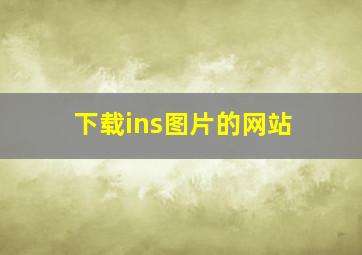 下载ins图片的网站