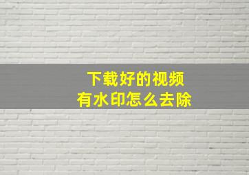 下载好的视频有水印怎么去除