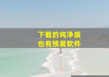 下载的纯净版也有预装软件