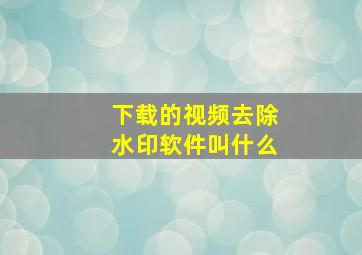 下载的视频去除水印软件叫什么