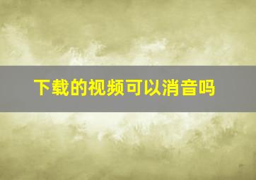 下载的视频可以消音吗