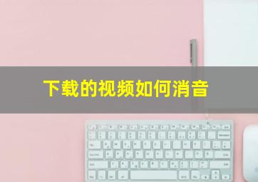 下载的视频如何消音