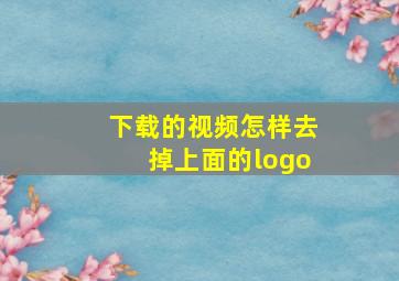 下载的视频怎样去掉上面的logo