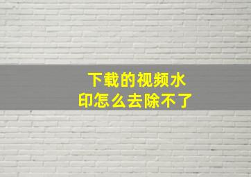 下载的视频水印怎么去除不了