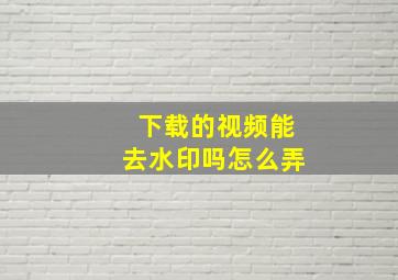 下载的视频能去水印吗怎么弄