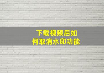 下载视频后如何取消水印功能